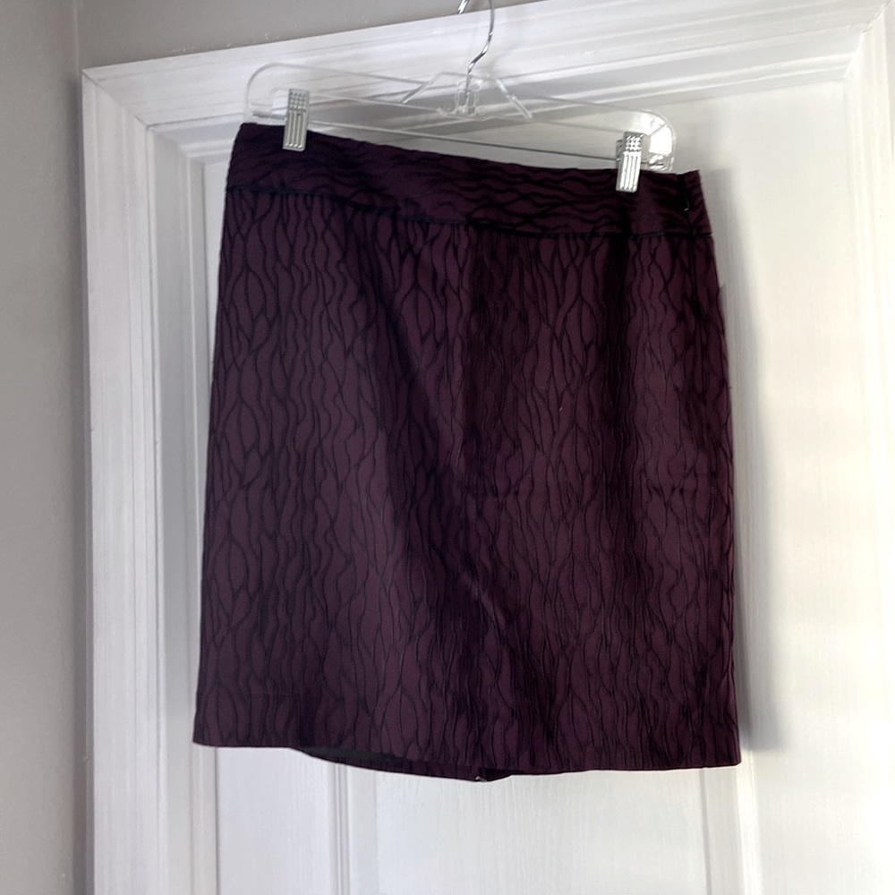 Ann Taylor skirt